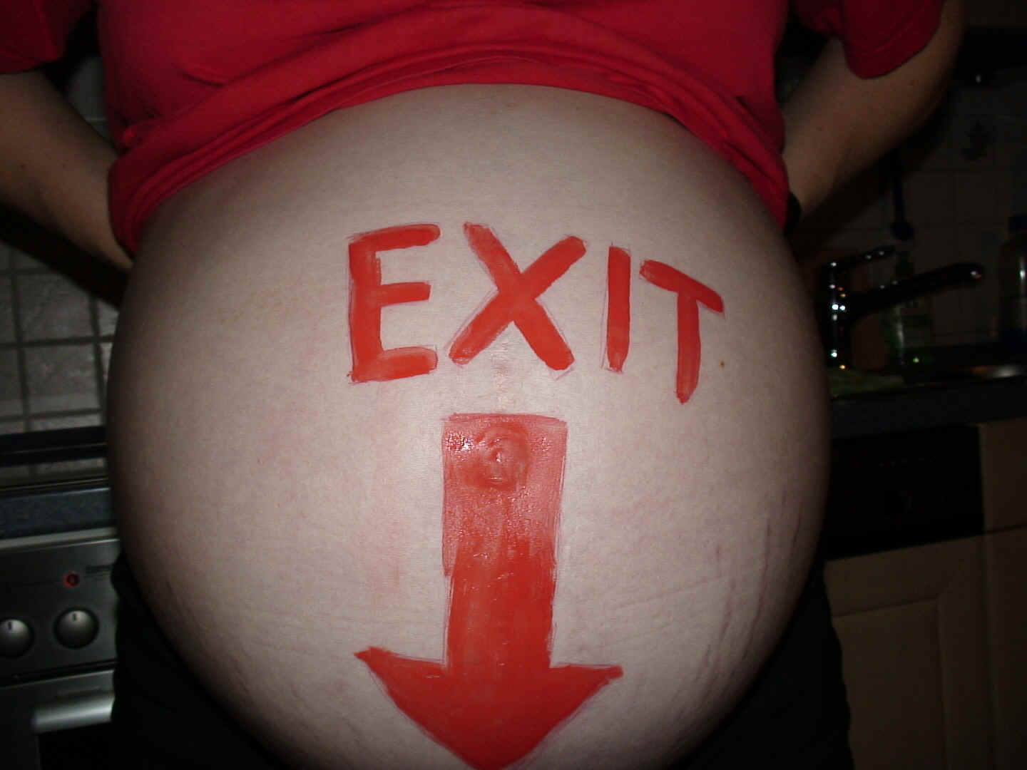 DSC00290.JPG (472460 Byte)