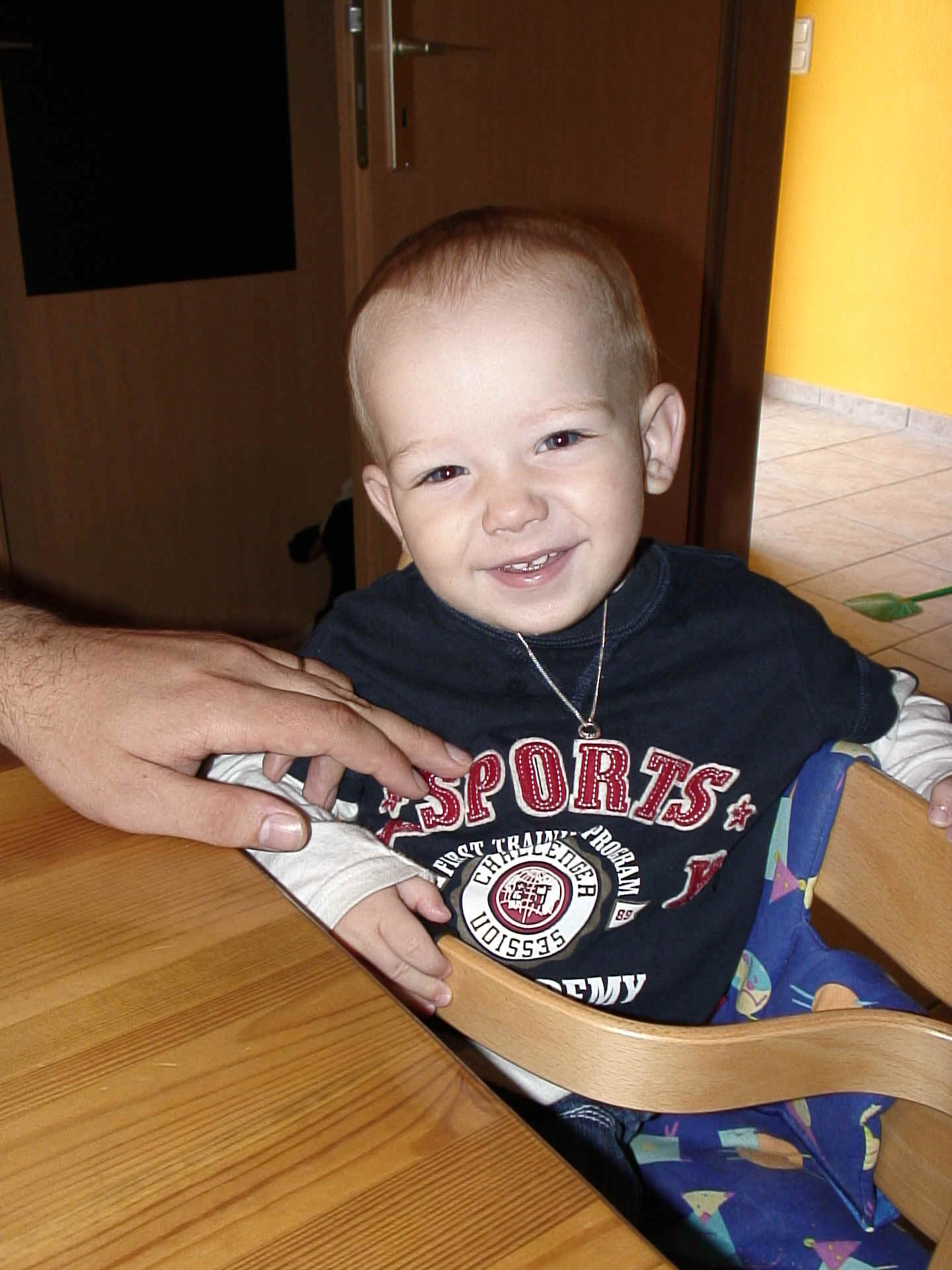 DSC02223.JPG (1008695 Byte)