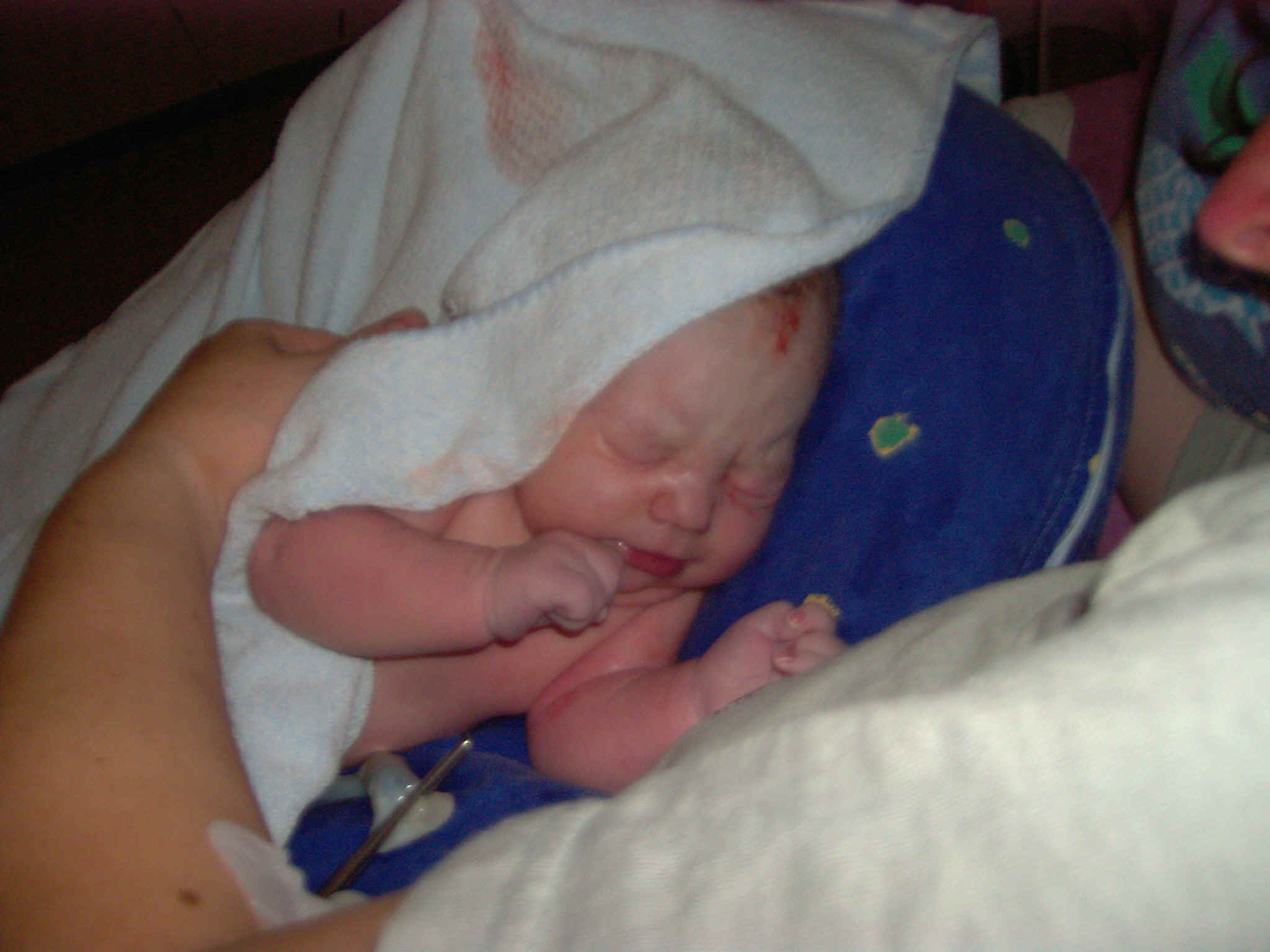 PIC00055.jpg (704512 Byte)