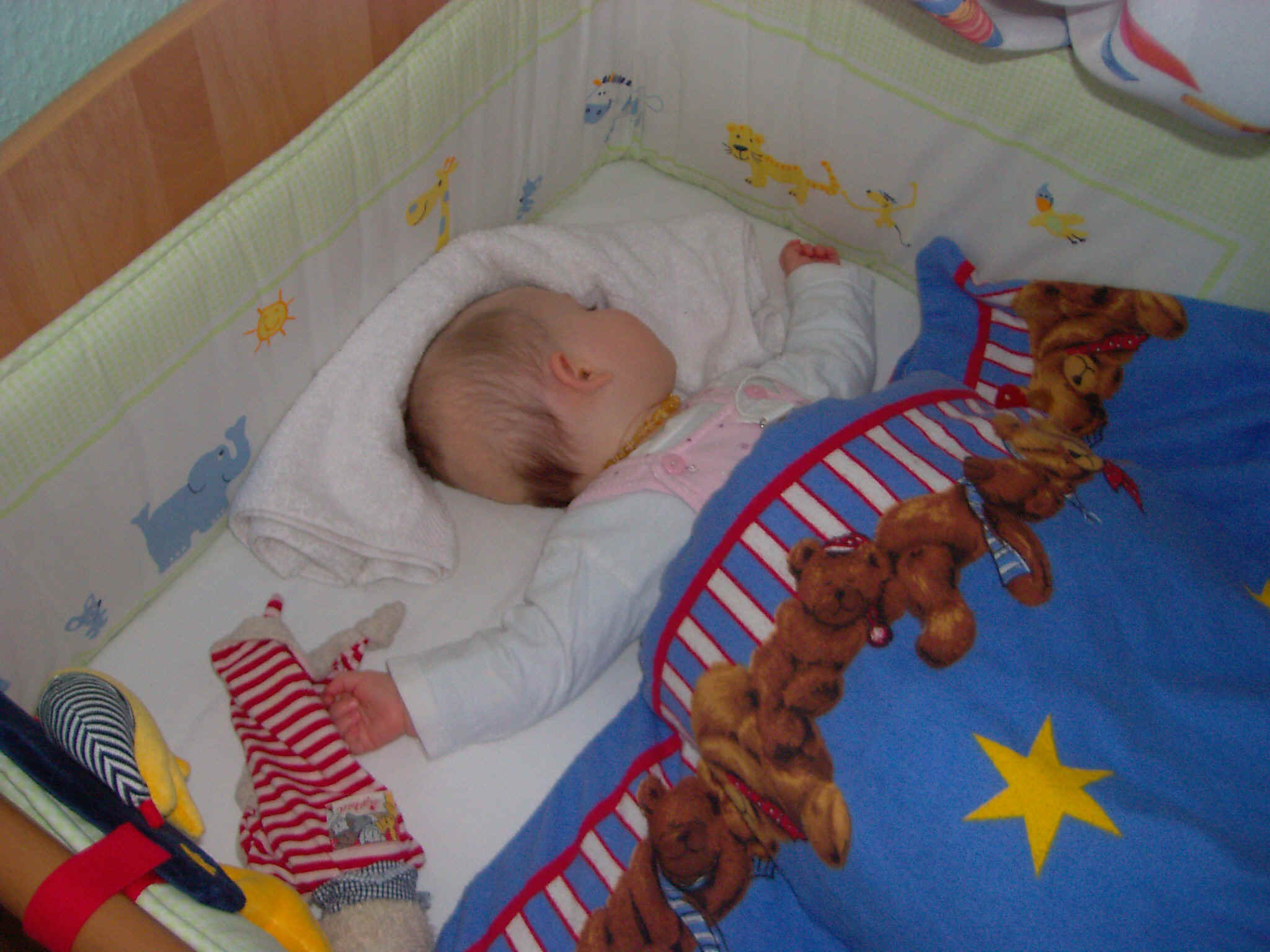 PIC00765.jpg (802816 Byte)