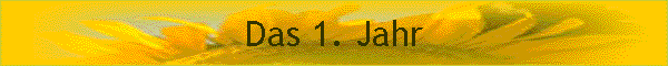 Das 1. Jahr